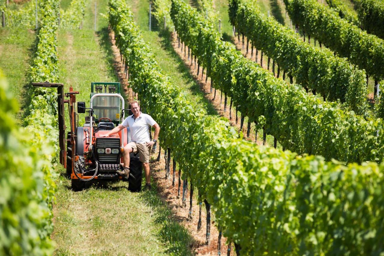 Weingut-Gaestezimmer Uhl Ratsch an der Weinstraße 외부 사진